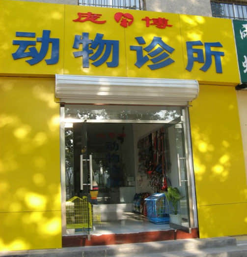 沧州庞博动物诊所 医师庞文乐 沧州庞博动物诊所 医师庞文乐