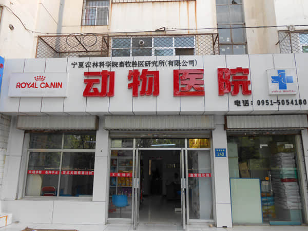 银川畜牧兽医研究所动物医院 医师张晓东 银川畜牧兽医研究所动物医院 医师张晓东
