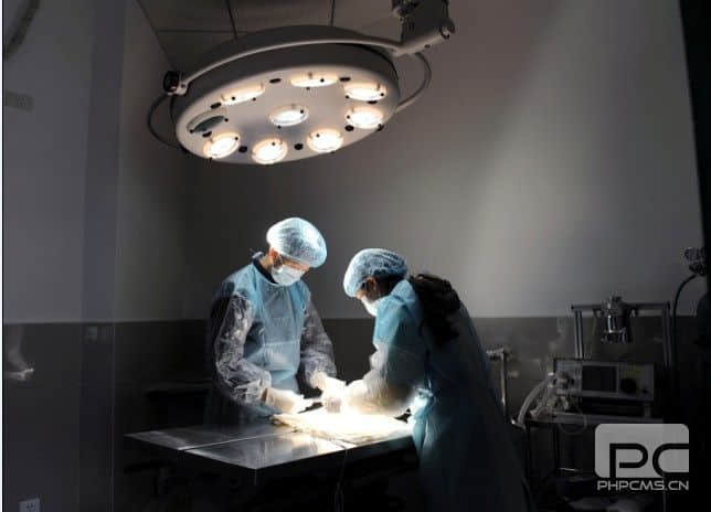 重庆协和小动物医院 医师王芹 重庆协和小动物医院 医师王芹