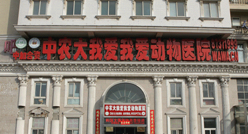中农大我爱我爱动物医院   陈修岷 中农大我爱我爱动物医院   陈修岷