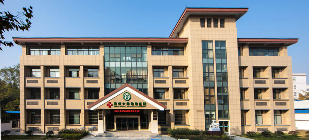 扬州大学动物医院 医师张信军 扬州大学动物医院 医师张信军