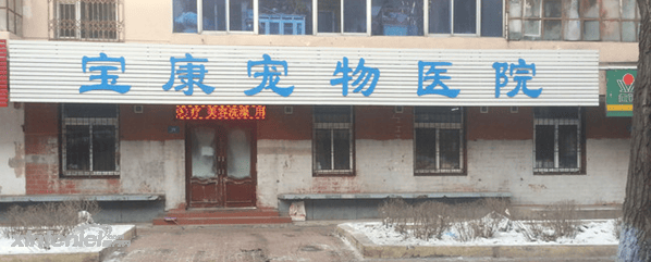 黑龙江哈尔滨宝康宠物医院 医师徐世斌 黑龙江哈尔滨宝康宠物医院 医师徐世斌