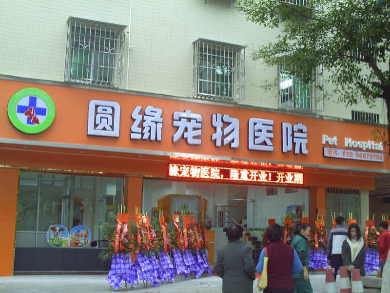 广州花都区圆缘宠物医院 医师张杨莉 广州花都区圆缘宠物医院 医师张杨莉