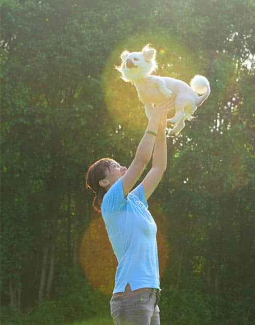 关于中国宠物行业的一些历程分析 关于中国宠物行业的一些历程分析