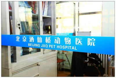 北京酒仙桥动物医院  魏来 北京酒仙桥动物医院  魏来