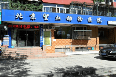 北京望虹动物医院  凌凤荣 北京望虹动物医院  凌凤荣