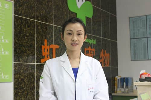 杭州虹迪宠物医院 医师谈宵虹 杭州虹迪宠物医院 医师谈宵虹