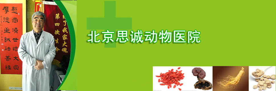 北京思诚动物医院  尚太成 北京思诚动物医院  尚太成