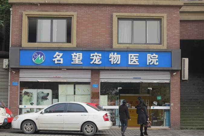重庆名望宠物医院 医师刘昌良 重庆名望宠物医院 医师刘昌良