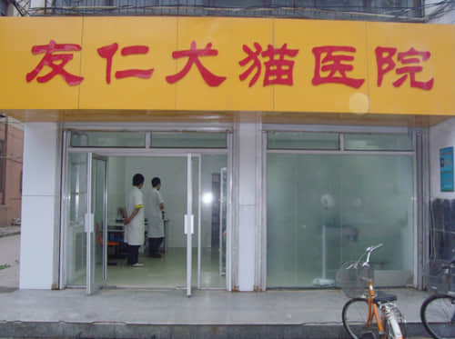 石家庄友仁犬猫医院 医师刘文凯 石家庄友仁犬猫医院 医师刘文凯