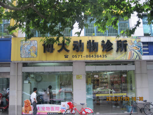 杭州博大动物医院 医师叶超 杭州博大动物医院 医师叶超