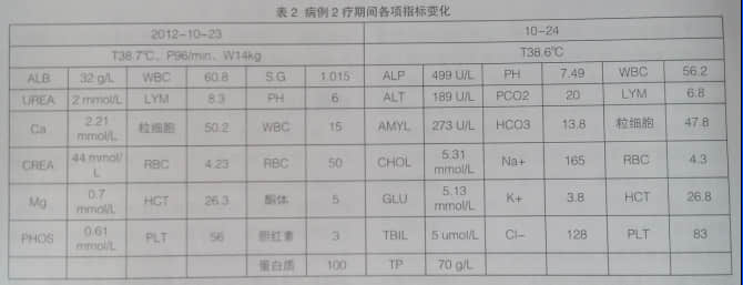 浅谈犬子宫蓄脓与输血 浅谈犬子宫蓄脓与输血