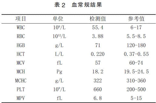 一例犬落叶天疱疮的诊治 一例犬落叶天疱疮的诊治