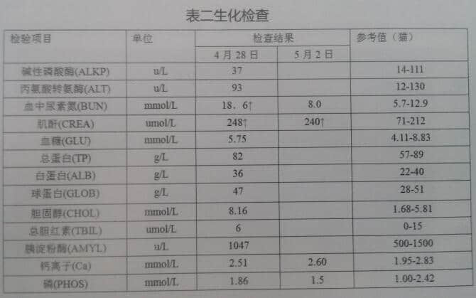 一例15岁家猫双肾周囊肿被膜下积液 一例15岁家猫双肾周囊肿被膜下积液