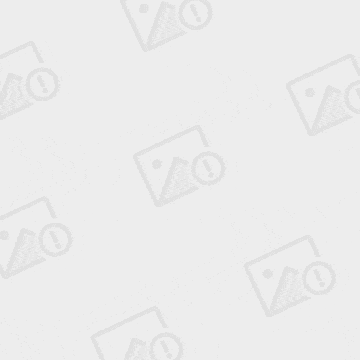 3个月贵宾犬胸腔段食道异物的手术治疗 3个月贵宾犬胸腔段食道异物的手术治疗