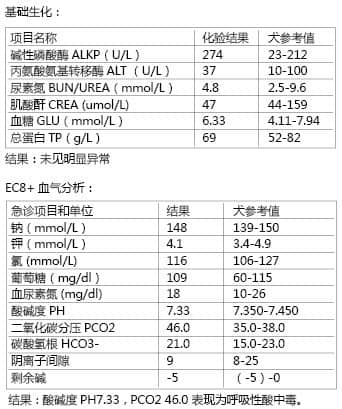 一例犬烟雾吸入造成吸道损伤的病例分析 一例犬烟雾吸入造成吸道损伤的病例分析