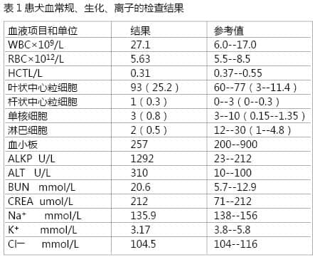 导尿不当导致尿道断裂的诊断与治疗 导尿不当导致尿道断裂的诊断与治疗