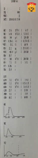 一例犬食道异物的病例报告 一例犬食道异物的病例报告