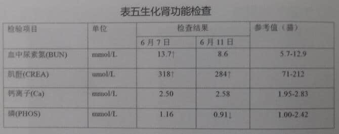 一例15岁家猫双肾周囊肿被膜下积液 一例15岁家猫双肾周囊肿被膜下积液