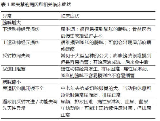 宠物医疗-排尿异常的鉴别诊断