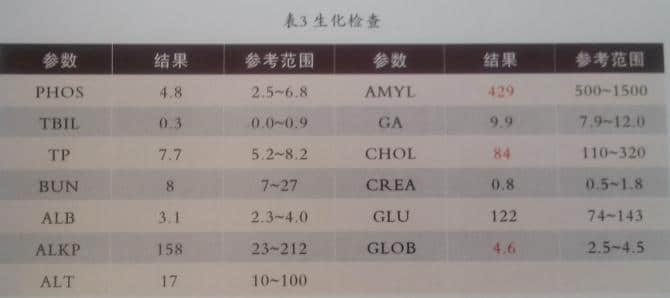 一例藏獒腰椎间柑突出症(瘫痪)的诊疗 一例藏獒腰椎间柑突出症(瘫痪)的诊疗