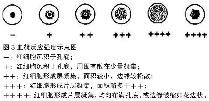 北京地区猫弓形体感染情况调查