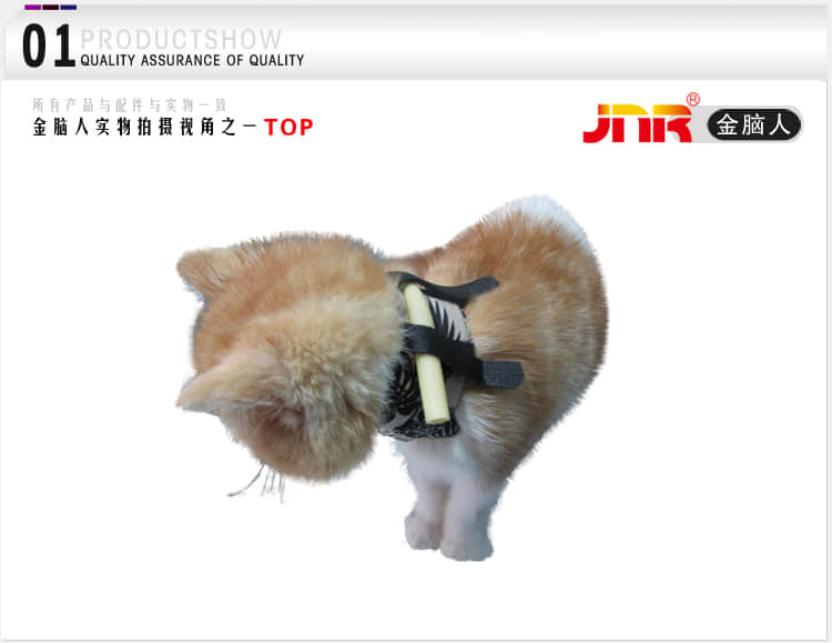 胃管固定项圈