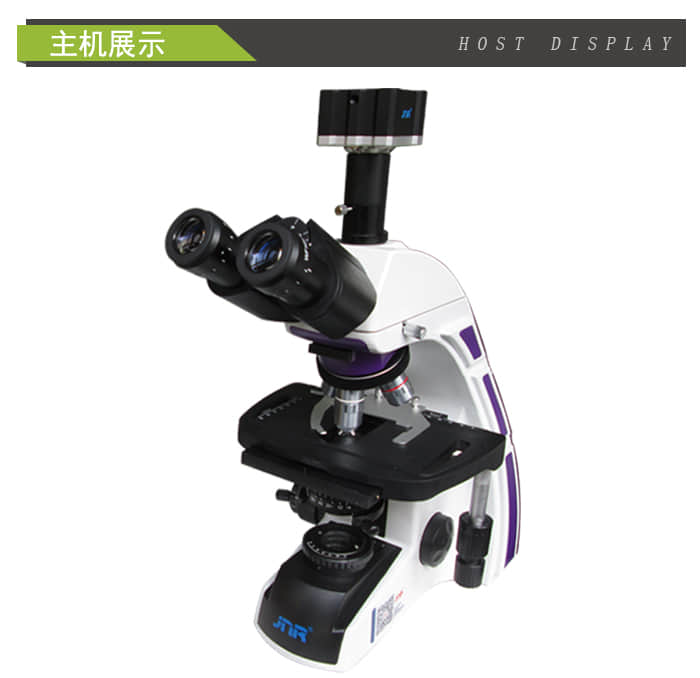 DM-D型 三目生物视频显微镜（数码+型 )