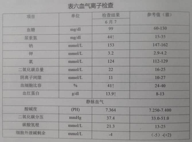 一例15岁家猫双肾周囊肿被膜下积液 一例15岁家猫双肾周囊肿被膜下积液