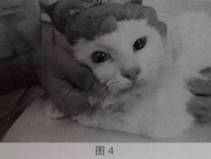 3例霍纳氏综合征(Hnorner's syndrome) 病例讨论