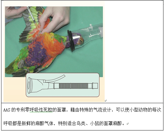 宠物呼吸麻醉机的架构组成系统 宠物呼吸麻醉机的架构组成系统