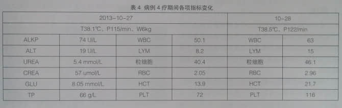 浅谈犬子宫蓄脓与输血 浅谈犬子宫蓄脓与输血