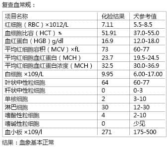 一例犬烟雾吸入造成吸道损伤的病例分析 一例犬烟雾吸入造成吸道损伤的病例分析