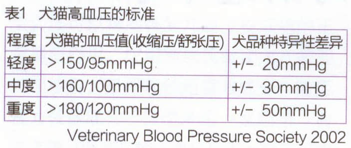 犬猫的高血压