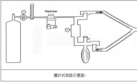宠物呼吸麻醉机的架构组成系统 宠物呼吸麻醉机的架构组成系统