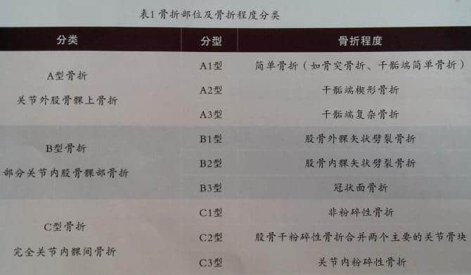 猫股骨远端粉碎性骨折 病例分析与治疗 猫股骨远端粉碎性骨折 病例分析与治疗
