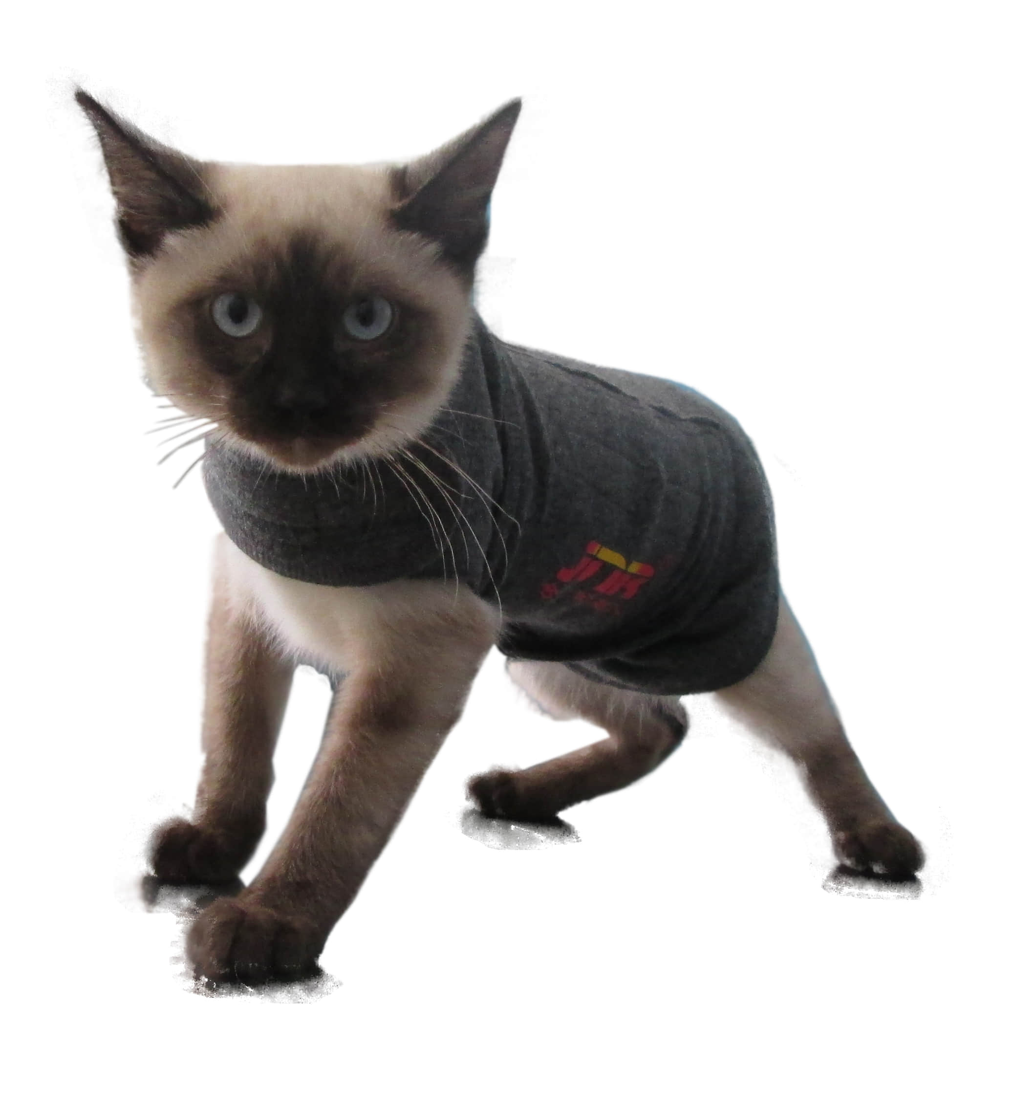 猫安定背心 猫安定背心
