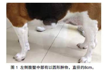 血管外皮细胞瘤病例分析 血管外皮细胞瘤病例分析