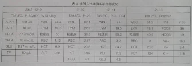 浅谈犬子宫蓄脓与输血 浅谈犬子宫蓄脓与输血