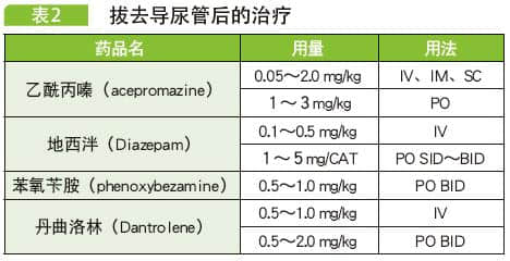 犬猫尿潴留的处置