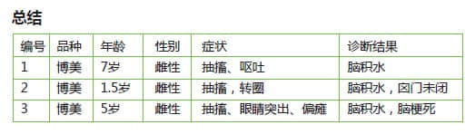 博美犬脑积水的CT诊断 博美犬脑积水的CT诊断