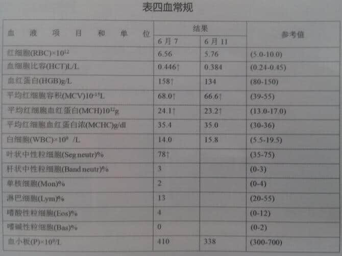 一例15岁家猫双肾周囊肿被膜下积液 一例15岁家猫双肾周囊肿被膜下积液