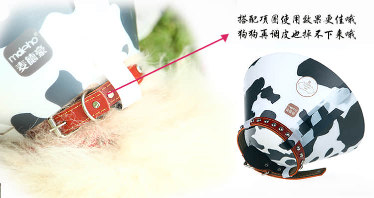 伊丽莎白圈、狗脖套、猫脖圈、宠物防抓舔咬项 伊丽莎白圈、狗脖套、猫脖圈、宠物防抓舔咬项