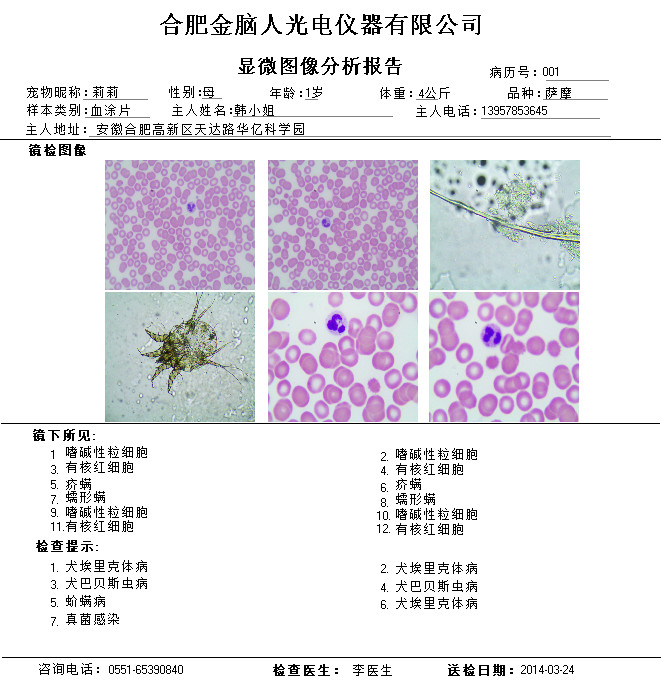 金脑人显微镜（数码型.数码+型）软件安装视频(DM-C DM-D)