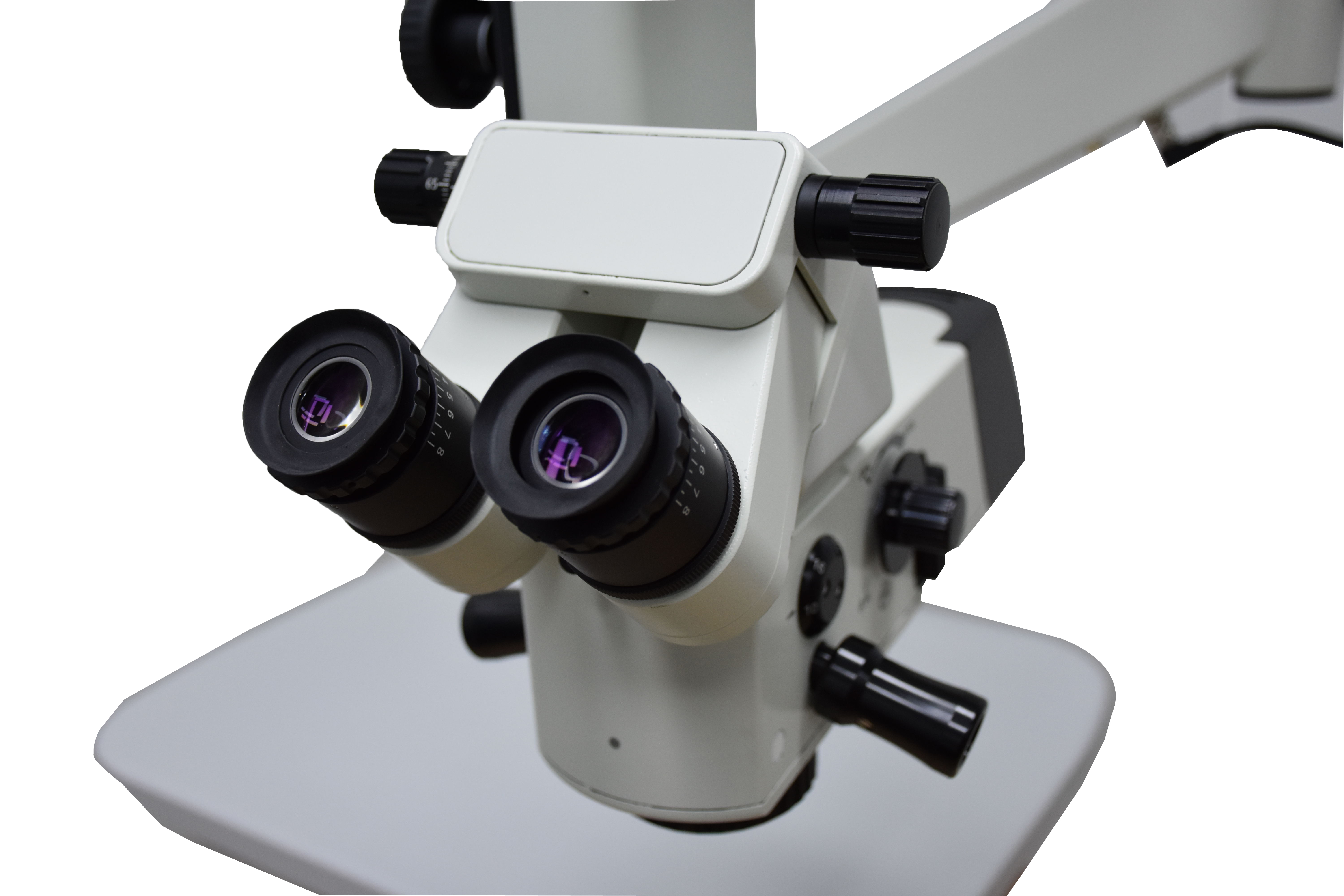 动物眼科显微镜