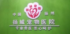 扬州扬城宠物医院 医师胡伟松