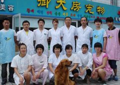 威海御犬房宠物医院 医师张强