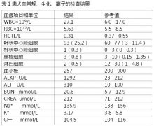 导尿不当导致尿道断裂的诊断与治疗