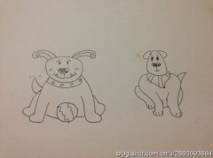 那个狗的肘关节更好？--犬肘关节发育不良