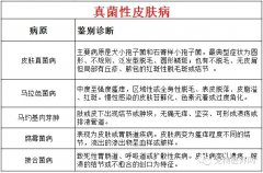 犬常发皮肤病的鉴别诊断